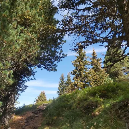 Farm stay Arishorst Aussergasteighof Weerberg