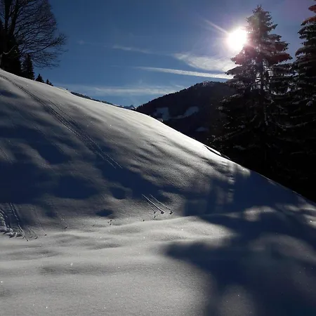 Arishorst Aussergasteighof *