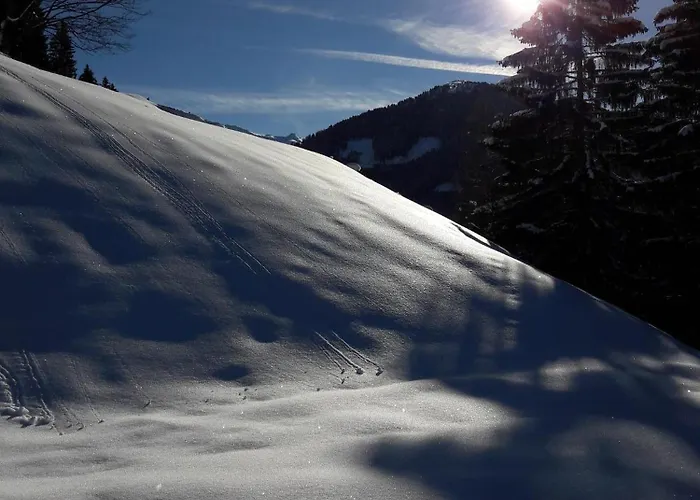 Arishorst Aussergasteighof *